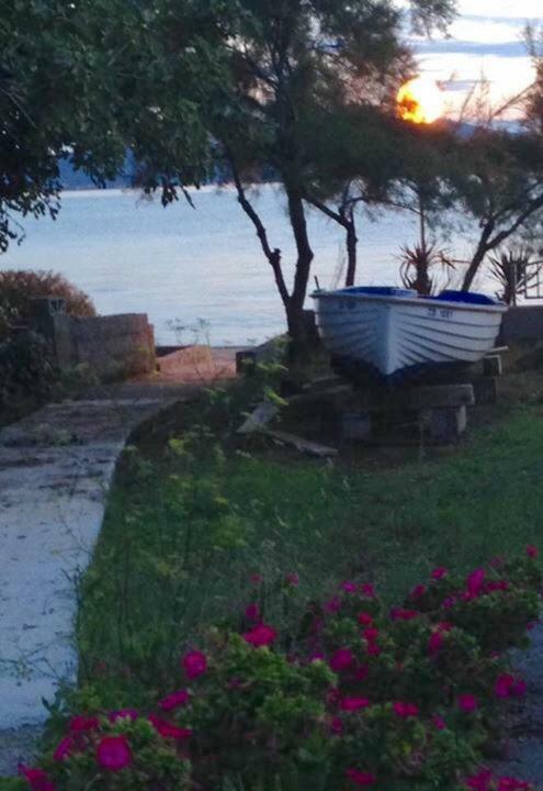 Apartman Lipotica Diklo Zadar Buitenkant foto